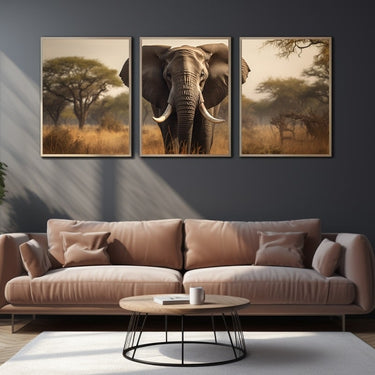 3 Pieces Elephant Canvas